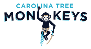 Carolina Tree Monkeys